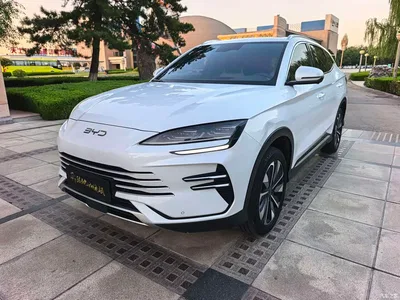 2025 BYD Song PLUS PHEV DM-i 112KM Premium, фото 3, лот 10448321