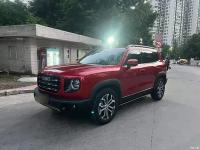 2021 Haval Big Dog 1.5T DCT 2WD Border Collie - Wangcai Edition, фото 2, лот 10361272
