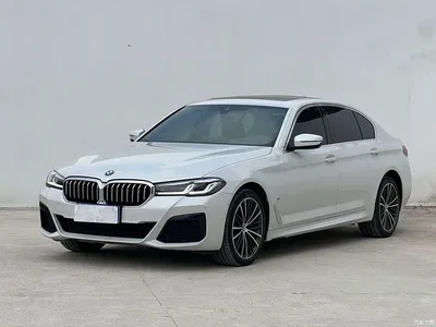 2021 BMW 5 Series 530Li Leading M Sport Package, фото 1, лот 10842629