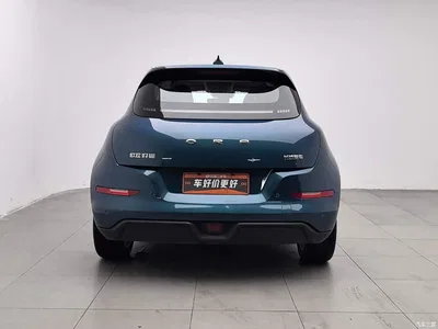 2023 Ora Good Cat 401km Standard Range Luxury LFP, фото 4, лот 10331566