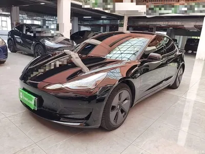 2022 Tesla Model 3 Model Rear-Wheel Drive Version, фото 1, лот 11191074