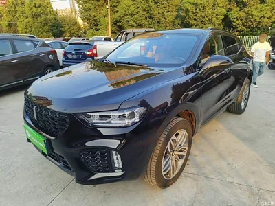 2017 WEY VV5 2.0T Super Luxury Model, фото 2, лот 10452379