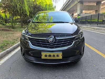 2020 Buick GL8 Model Land Business Class 652T Comfort, фото 2, лот 10252920