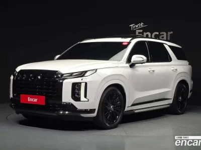 2024 Hyundai Palisade Diesel 2.2 4WD, фото 1, лот 10155963