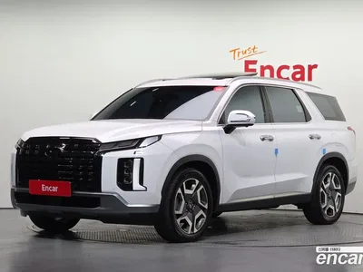 2024 Hyundai Palisade Diesel 2.2 4WD, фото 1, лот 10399259