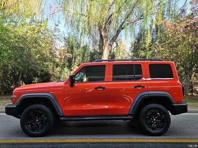 2023 Tank 300 Off-Road Edition 2.0T Conqueror, фото 3, лот 10345173