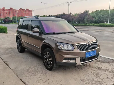 2014 Škoda Yeti 1.4TSI DSG Wild, фото 3, лот 10349292