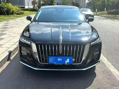 2025 Hongqi H5 2.0T Automatic Qixiang 500,000 Units Commemorative Edition, фото 1, лот 10289025
