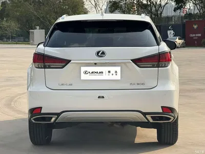 2020 Lexus RX Facelift 300 2WD Elite Edition, фото 4, лот 10315352