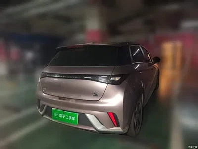 2021 BYD Dolphin Model 405km Fashion Edition, фото 4, лот 10306584
