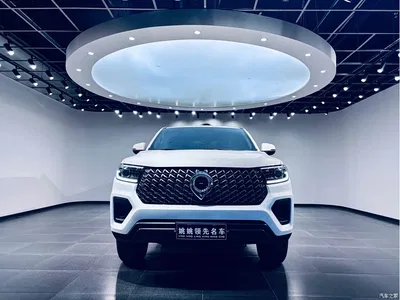 2024 Great Wall Pao Model 2.4T Commercial Version Automatic Diesel 4WD Elite Type, фото 2, лот 10364243