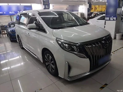 2020 GAC Trumpchi Trumpchi M8 Master Edition 390T Premium, фото 4, лот 10387242
