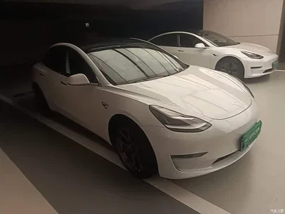 2020 Tesla Model 3 Facelift Long Range Rear-Wheel Drive, фото 4, лот 10370091