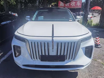 2022 Hongqi E-HS9 660km Qi Chang Edition (6-seater), фото 2, лот 10288577