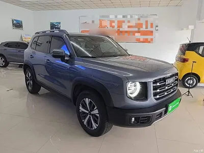 2022 Haval Big Dog 1.5T DCT FWD Labrador Edition, фото 4, лот 10361274