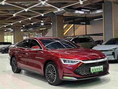 2020 BYD Han DM AWD Performance Premium, фото 4, лот 10250625