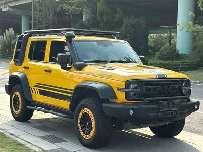 2022 Tank 300 2.0T Border Limited Edition, фото 2, лот 11018193