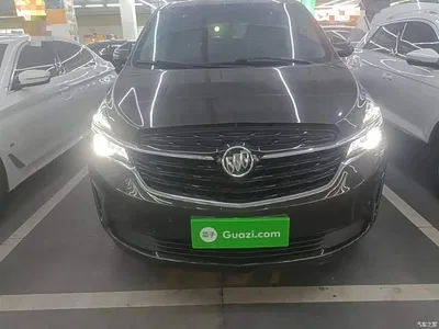 2022 Buick GL8 Land Business Class 652T Luxury, фото 3, лот 11187608