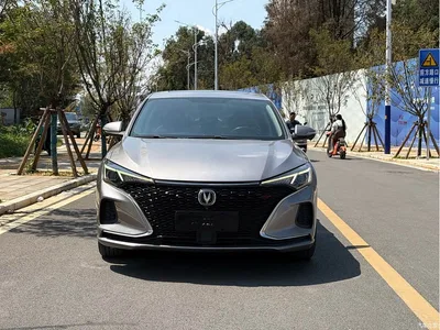 2020 Changan Eado PLUS Blue Whale NE 1.4T GDI DCT Flagship, фото 2, лот 10274368