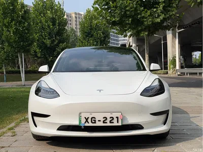 2022 Tesla Model 3 Model Rear-Wheel Drive Version, фото 2, лот 10368495