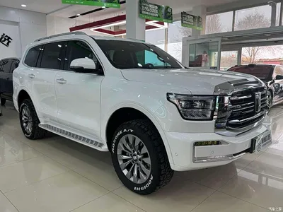 2025 Tank 500 EV Hi4-Z, фото 3, лот 10345210