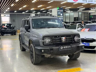 2021 Tank 300 Off-road Version 2.0T Conqueror, фото 3, лот 10680197