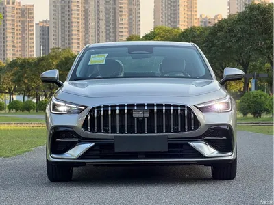2025 Geely Galaxy Galaxy Stellar 6 Top Configuration Edition, фото 3, лот 10834749