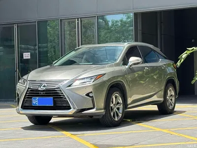 2020 Lexus RX 300 2WD Elite Edition China VI, фото 1, лот 10313541
