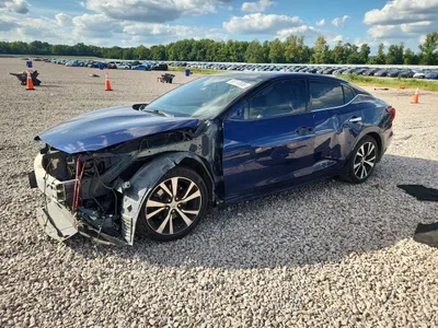 2017 NISSAN MAXIMA 3.5 SL, фото 1, лот 10760640