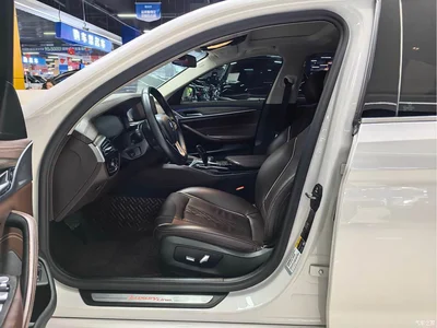 2020 BMW 5 Series New Energy 530Le Luxury Package, фото 4, лот 10473973
