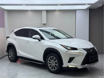 2020 Lexus NX 200 AWD F Sport China VI, фото 3, лот 10314924