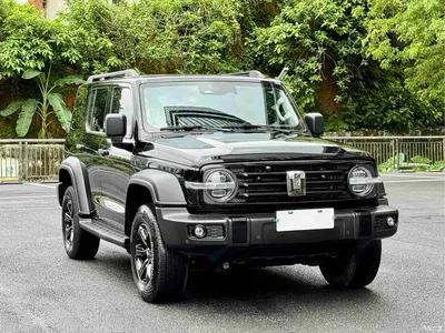 2021 Tank 300 Off-road Version 2.0T Conqueror, фото 3, лот 10344433