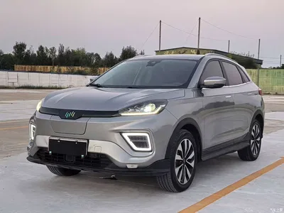 2020 Weltmeister EX5 EX5-Z Nex Exploration Edition, фото 1, лот 11243725