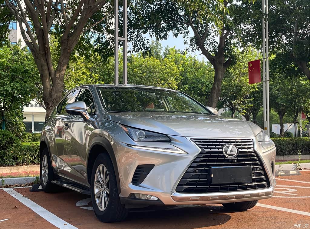 2018 Lexus NX Model 300 FWD Fengxing Edition, фото 3, лот 11214422