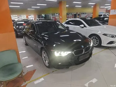 2018 BMW 3 Series 320Li Leading M Sport Package, фото 4, лот 11216124