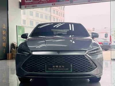 2024 BYD Qin PLUS Glory Edition DM-i 55KM Leading, фото 3, лот 11242619