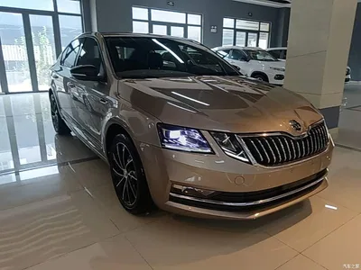 2019 Škoda Octavia TSI280 DSG Luxury Edition, фото 4, лот 10348188