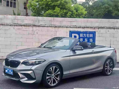2019 BMW 2 Series (Import) 225i Convertible Coupe Sport Design Package, фото 1, лот 10418379