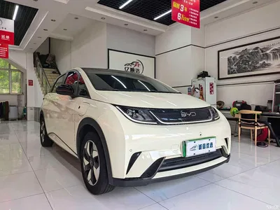 2024 BYD Dolphin Glory Edition 420km Fashion Edition, фото 2, лот 10257551