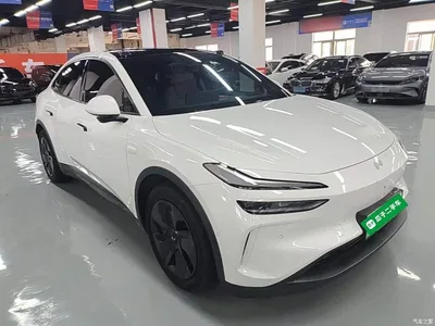 2024 Ledao L60 60kWh Rear-Wheel Drive, фото 4, лот 10826520