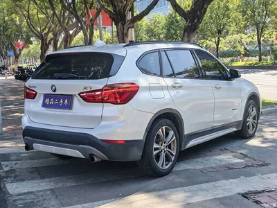 2018 BMW X1 xDrive20Li Premium Model, фото 4, лот 11582745