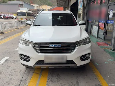 2017 Haval H6 Blue Label 2.0T Automatic 2WD Smart Edition, фото 3, лот 10419552