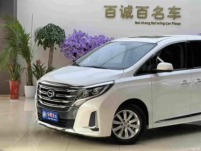 2020 GAC Trumpchi Trumpchi M8 Pilot 390T Premium Edition, фото 3, лот 10414604