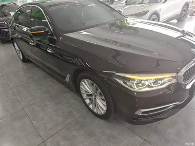 2020 BMW 5 Series New Energy 530Le Range Upgrade Pioneer Edition, фото 4, лот 10474131