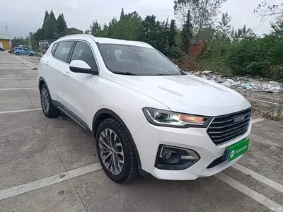 2018 Haval H6 Blue Label 1.5T Automatic Luxury, фото 4, лот 11205496