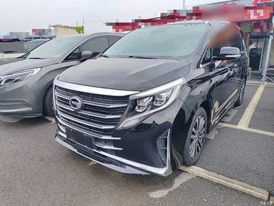 2021 GAC Trumpchi Trumpchi M8 Leading Show Series 390T Prestige Edition, фото 2, лот 10422343