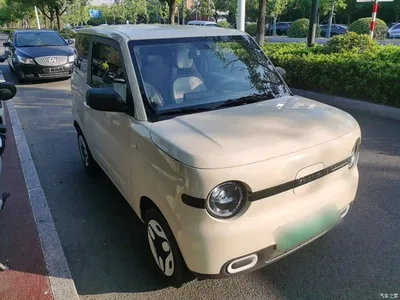 2025 Geely Galaxy Panda mini 210km Vitality Bear, фото 4, лот 10433260