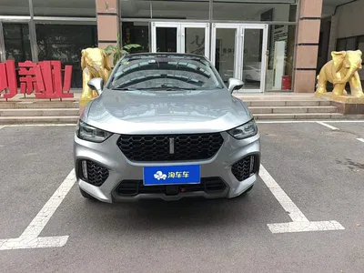 2017 WEY VV5 2.0T Super Luxury Model, фото 3, лот 10444615