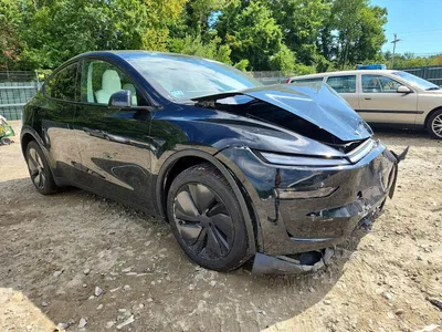 2026 TESLA MODEL Y, фото 4, лот 10856620