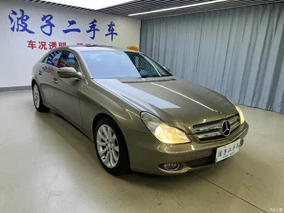 2009 Mercedes-Benz CLS 300, фото 3, лот 10298361